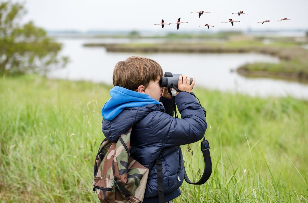 How to Use Binoculars? A Beginner's Guide
