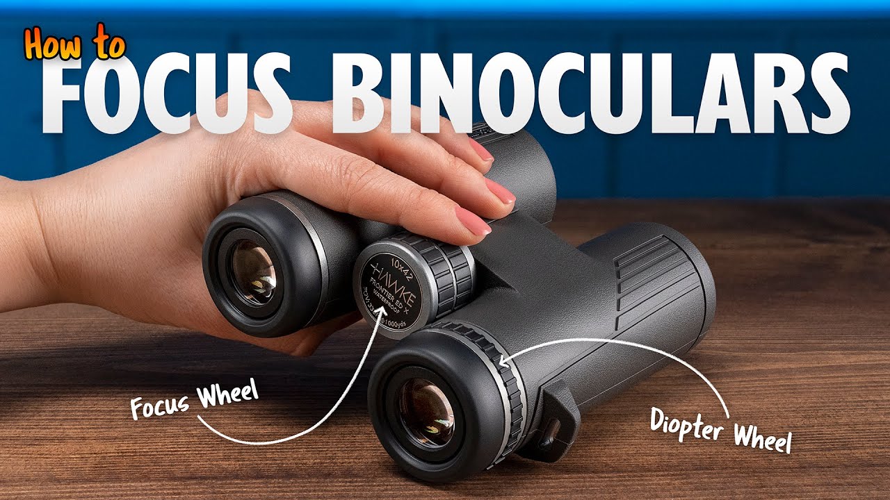 How To Focus Binoculars? A Beginner's Guide
