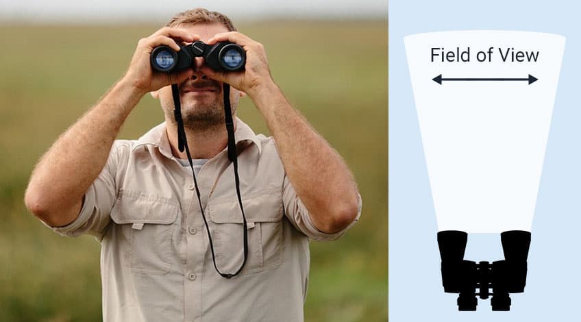 What is Field of View in Binoculars