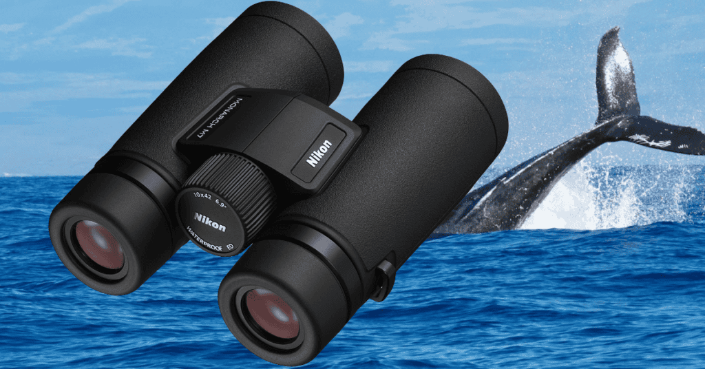 Binocular for Whale Watching